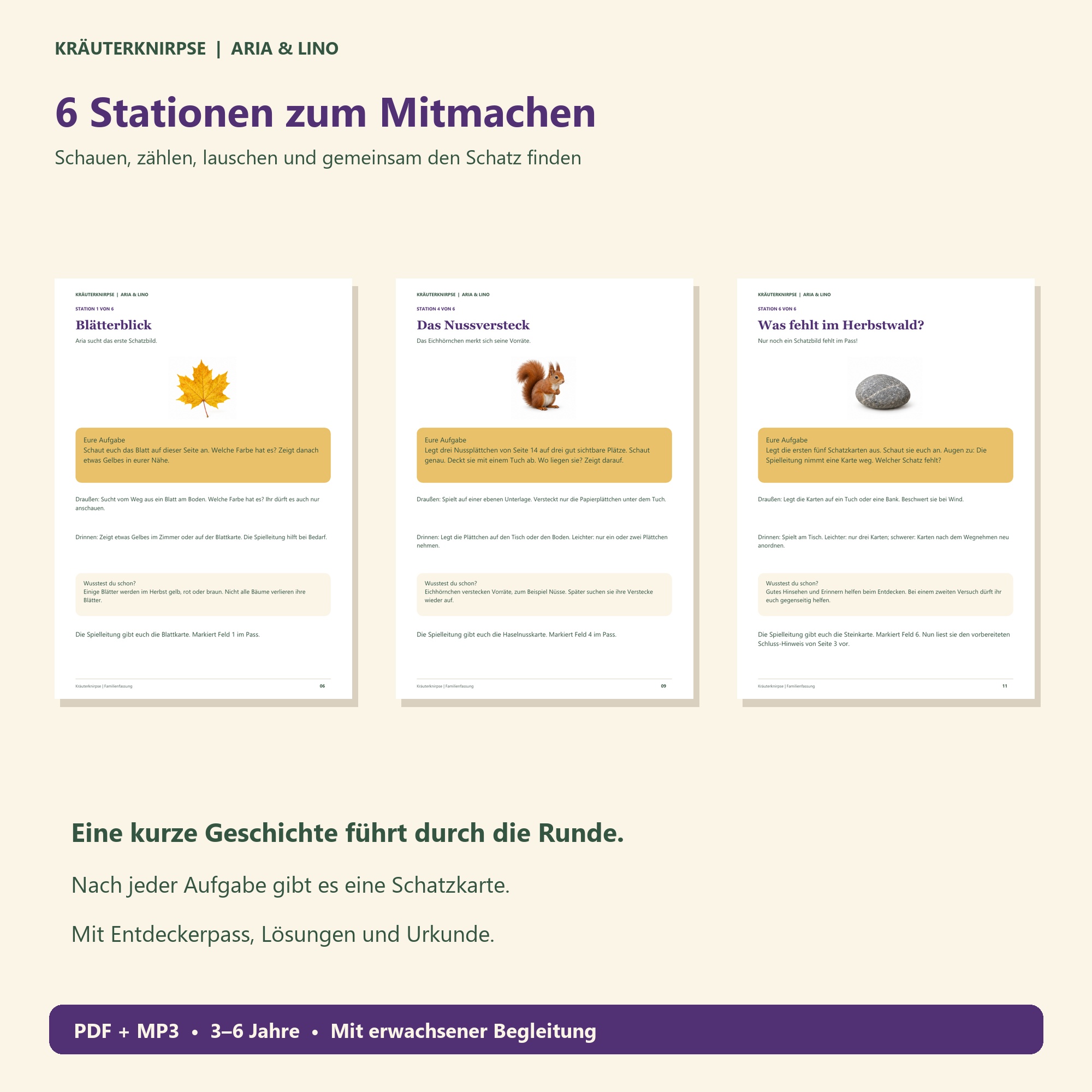 Sechs Stationen — Farben, Zählen, Zapfen, Nussverstecke, Lauschen, fehlende Karte